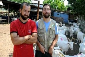 Üniversite Mezunu Kardeşler Hayvancılığı Seçti
