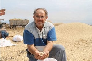 Nohutta Verim Düştü Fiyatlar Arttı