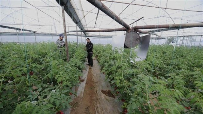 Ordu da İyi Tarım Artıyor