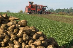 Pancar Üreticisine İkinci Nakdi Sulama Avans Ödemesi