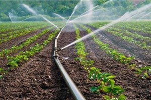 Tarım Sektöründe Şoke Eden Su İsrafı