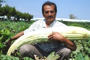 Tarlasında Devasa Boyutlarda Acur ve Kabak Yetiştirdi