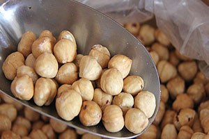 Fındık Alımları Başladı