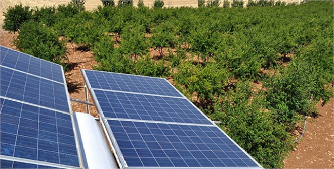 Güneş Enerjisiyle Tarım Alanları Sulanacak