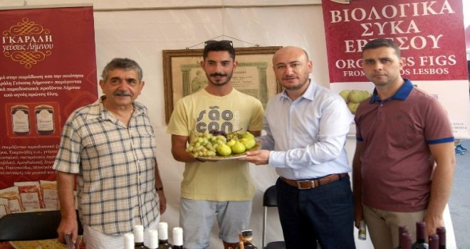 Ayto Yunan Pazarında