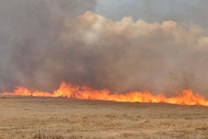 Bursa da Korkutan Anız Yangını