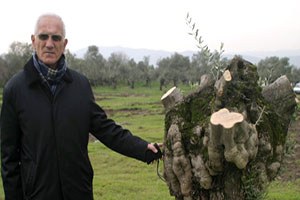 Jeotermaller Birinci Sınıf Tarım Arazilerini Yok Ediyor