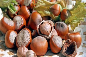 12 Liradan Sezonu Açtı Cumhuriyet Tarihinin Rekorunu Kırdı