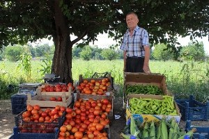 Eskişehir de Zararına da Olsa Hormonsuz Sebze Üretip Satıyor