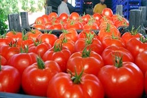 Devletten Domatese Müdahale