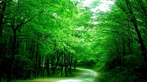 Toprak Veri Bankası Kuruldu