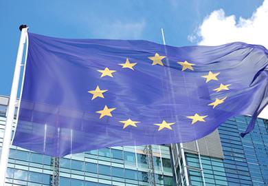 Avrupa da Salmonella Endişesi