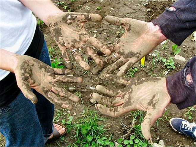 Açık Havada Kirlenen Çocukların Bağışıklık Sistemi Daha Güçlü