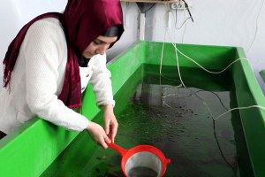 Türkiye de Bir İlki Yaptı 100 Bin Lirayı Kaptı