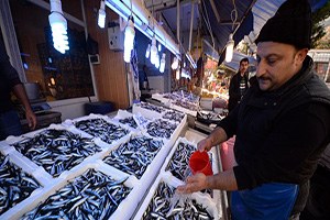 Yeni sezonda hamsi bereketi olacak