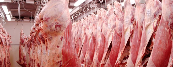 Et ve Süt Kurumu ndan Şok İhale