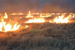 Kütahya da Anız Yangını Uyarısı