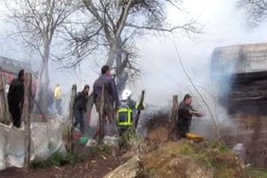 Balıkesir de 11 Büyükbaş Hayvan Yanarak Telef Oldu