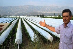 Sarıgöl Ovası Beyaza Büründü