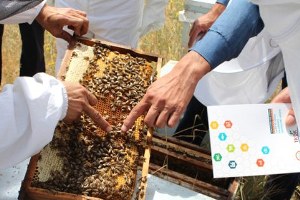 TKDK dan Arıcılara Sürdürebilirlik Eğitimi