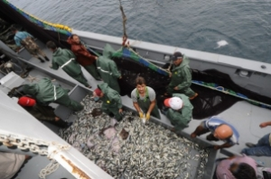 Balıkçılara Uyarı