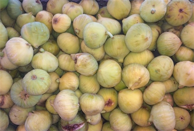 Yeşil Gurs İncirleri Tezgahta