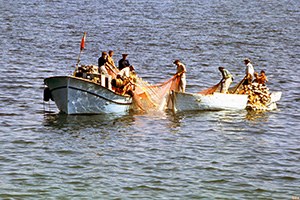 Denizde Av Sezonu Başlıyor