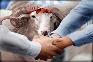 Sivas ta Kurbanlık Fiyatları Açıklandı