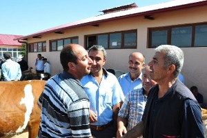 Kurbanlıklar Görücüye Çıktı
