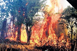 Tüm Ülke Alev Alev