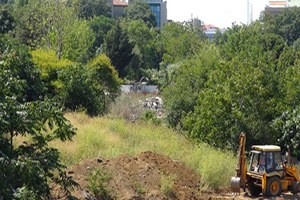 Yüzlerce Meyve Ağacı Otel İçin Kesilecek