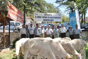 Hayvancılığı Geliştirme Projesi ve Halk Elinde Islah Projeleri