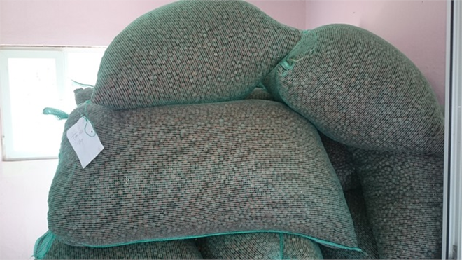 Fındık ta File Çuval Standardı