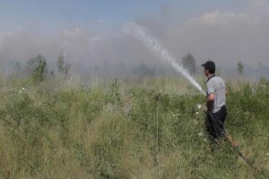 Muş Ovası nda Ekili Alanda Yangın