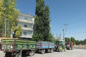 Malazgirt te Buğday Alımına Başladı