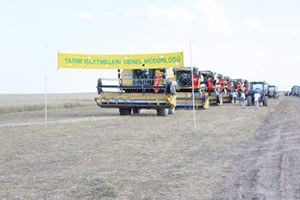 Hasat Bayramı Açılışı Yapıldı