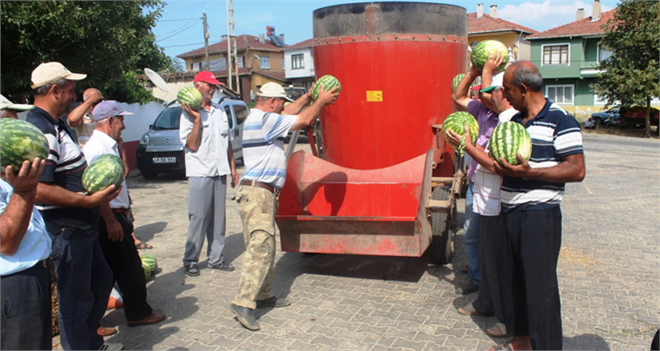 Karpuzlar Yem Oldu