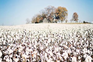 Lisanslı depoculuk uygun kredi imkanları sağladı