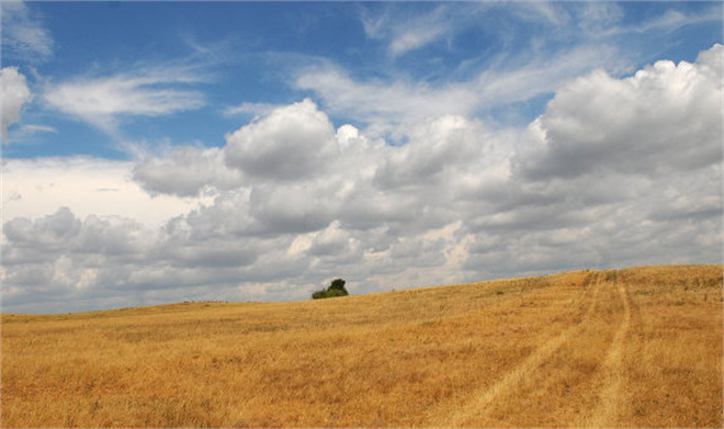 Rusya yı Kuraklık Vurdu