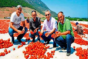 Avrupa Manisa domatesi istiyor