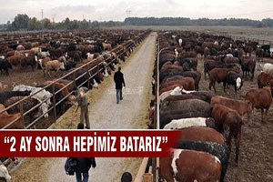 Et ithalatı olursa 2 aya yüzlerce besici batar