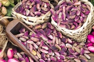 Fıstıkta Sulama İle Birlikte Verim Artışı Yaşandı