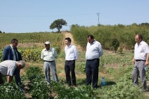 Soya Üretimini Arttırmak İçin Harekete Geçtiler