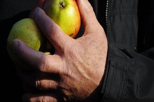 AB den Tarım Ambargosuna Karşı Koruma