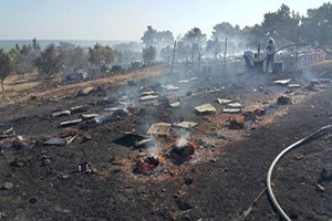 Doğanbey Yangınında Yüzlerce Kovan Arı ve Bal Teef Oldu