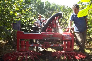 Karadenizli Çiftçiden Fındık Toplama Makinesi