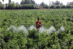 Sırt Motoruyla Uçağı Aratmayan Zira İlaçlama