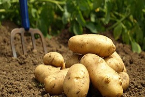 Stok Bitiyor Fiyatı Artık Cep Yakmayacak