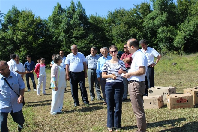 Bin Sülün Doğaya Salındı