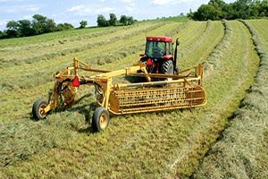 Büyümede Lokomotif Tarım ve Sanayi Oldu